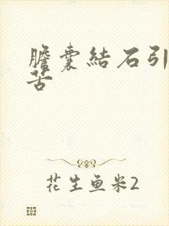 胆囊结石引起口苦