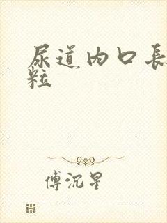 尿道内口长小肉粒