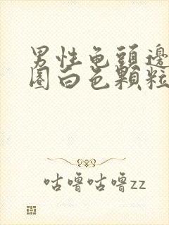 男性龟头边缘一圈白色颗粒