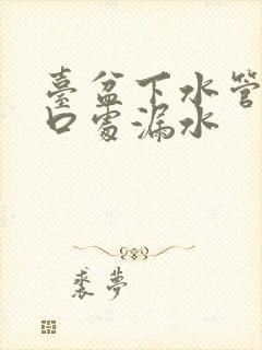 台盆下水管道接口处漏水