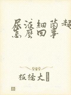 尿液细菌超标是怎么回事