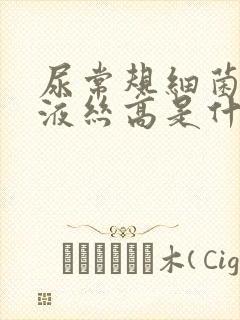 尿常规细菌和粘液丝高是什么意思