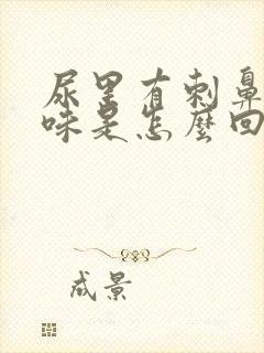 尿里有刺鼻的气味是怎么回事?