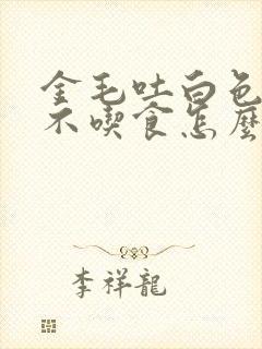 金毛吐白色粘液不吃食怎么办