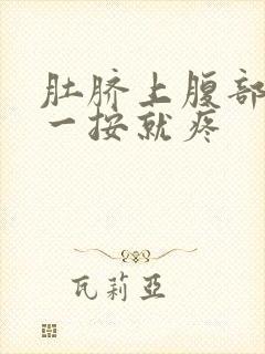 肚脐上腹部正中一按就疼