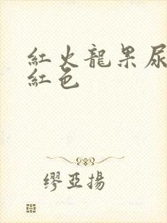 红火龙果尿液变红色