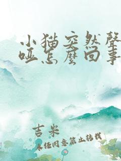 小猫突然声音沙哑怎么回事