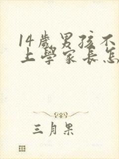 14岁男孩不想上学家长怎么办