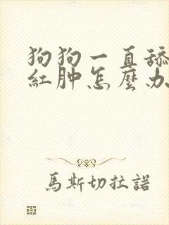 狗狗一直舔蛋蛋红肿怎么办