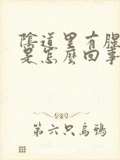 阴道里有腥臭味是怎么回事呢