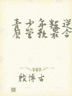 青少年叛逆期怎么管教最合适男孩