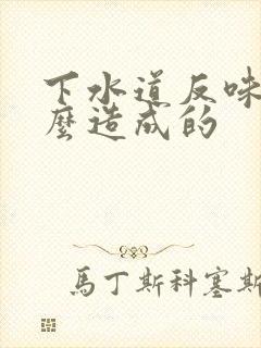 下水道反味是怎么造成的