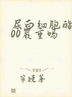尿白细胞酯酶500严重吗
