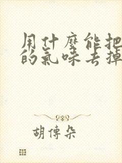 用什么能把猫尿的气味去掉