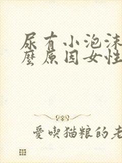 尿有小泡沫是什么原因女性