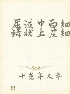 尿液中白细胞和鳞状上皮细胞高