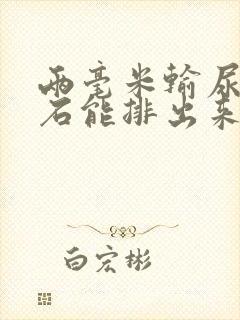 两毫米输尿管结石能排出来吗