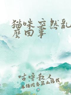 猫咪突然乱尿怎么回事