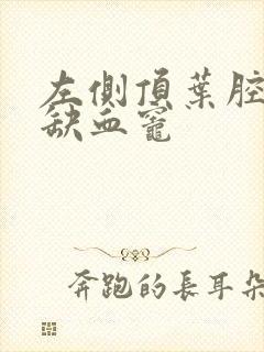 左侧顶叶腔隙性缺血灶