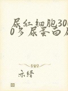 尿红细胞3000多尿蛋白尿隐血3+