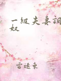 一级夫妻调教男奴