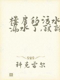 楼房的污水管道漏水了,该谁负责修