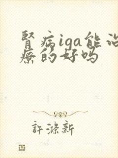 肾病iga能治疗的好吗