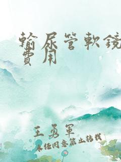 输尿管软镜碎石费用