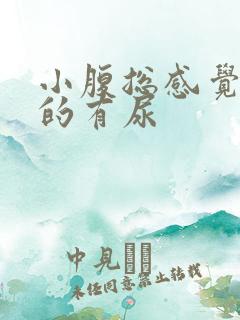 小腹总感觉胀胀的有尿