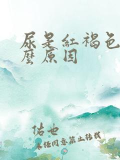 尿是红褐色是什么原因