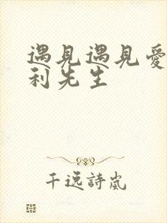 遇见遇见爱情的利先生