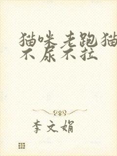 猫咪老跑猫砂盆不尿不拉