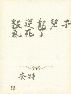 叛逆期儿子把我气死了