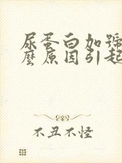 尿蛋白加号是什么原因引起的