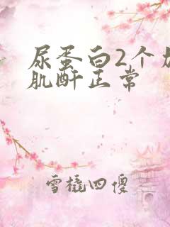 尿蛋白2个加号肌酐正常