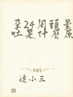 孕24周头晕想吐是什么原因