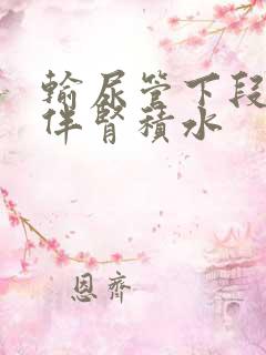 输尿管下段结石伴肾积水