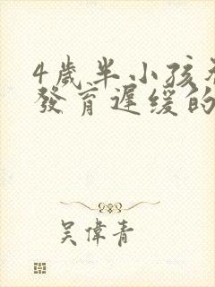 4岁半小孩智力发育迟缓的表现