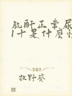 肌酐正常尿蛋白1十是什么情况