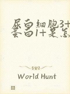 尿白细胞3+尿蛋白1+是怎么回事