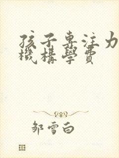 孩子专注力训练机构学费