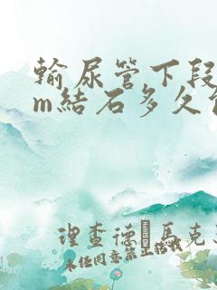 输尿管下段4mm结石多久能排出