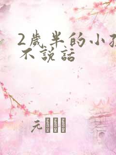 2岁半的小孩还不说话