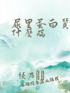 尿里蛋白质高是什么病