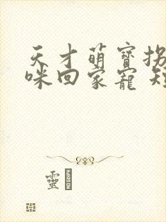 天才萌宝拐个妈咪回家宠 短剧 在线看