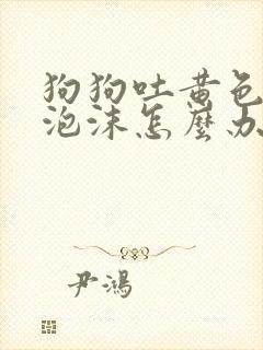 狗狗吐黄色粘稠泡沫怎么办