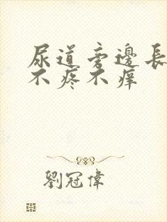 尿道旁边长疙瘩不疼不痒