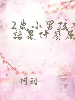 2岁小男孩不说话是什么原因