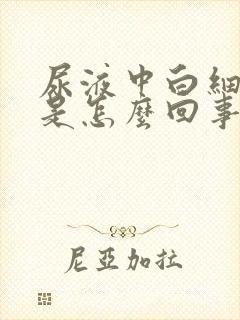 尿液中白细胞高是怎么回事