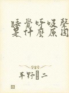 睡觉呼吸声音大是什么原因